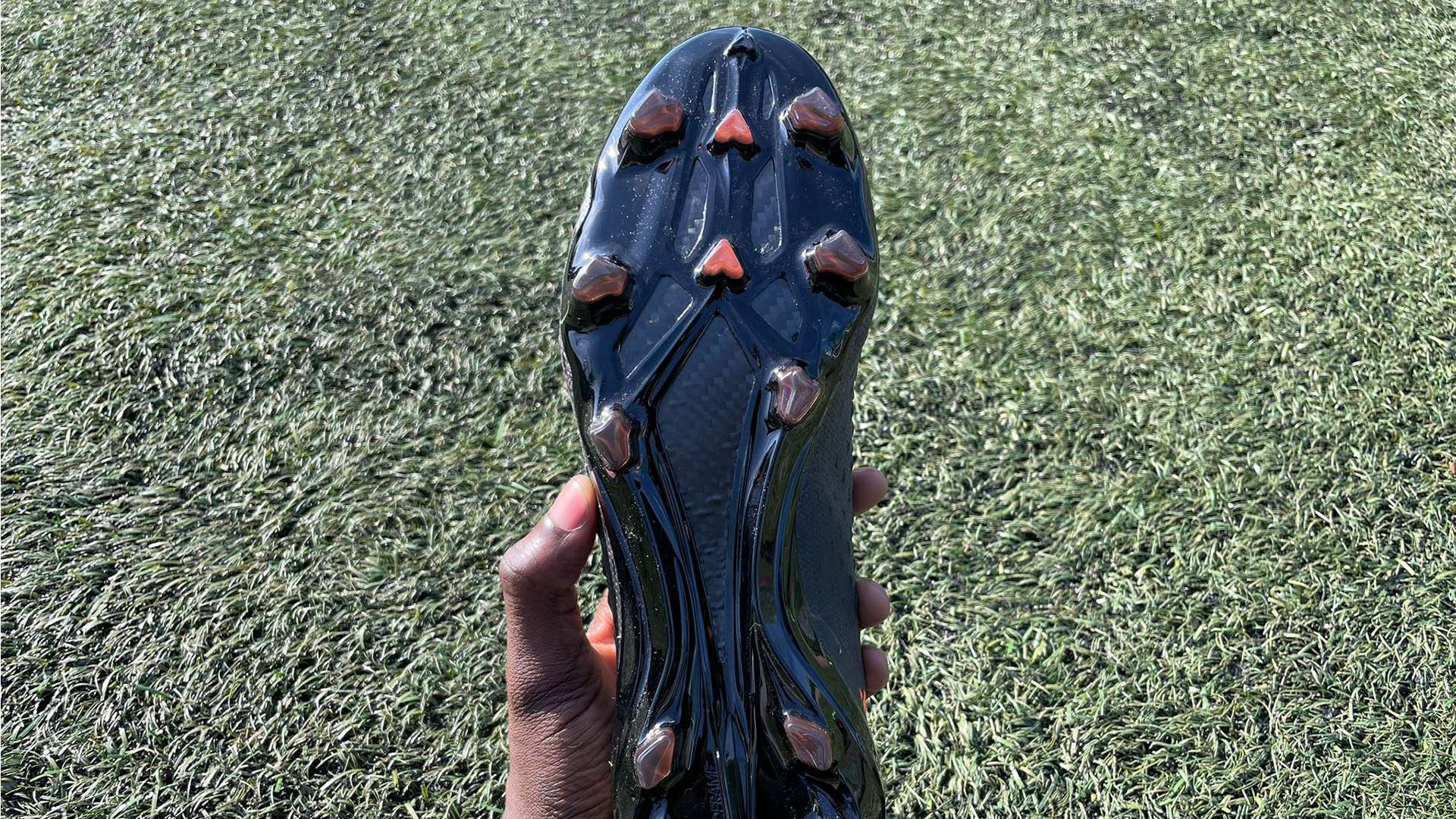 他們的引進 他們的引進